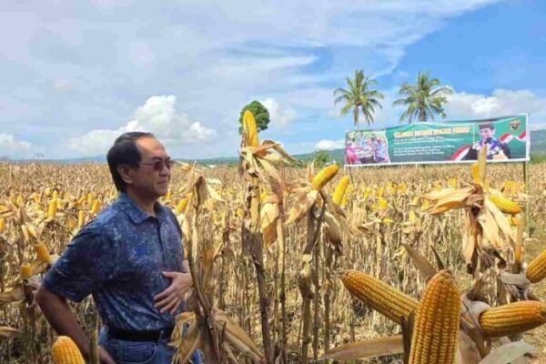 Rektor Unversitas Hasanuddin, Prof. Jamaluddin Jompa. (Foto: Ist)