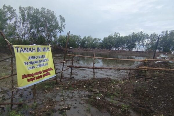 Dinas Perikanan Mengaku Baru Tahu Terkait Hutan Mangrove 1 Hektare di Maros Ditebang. (Foto: Ist)