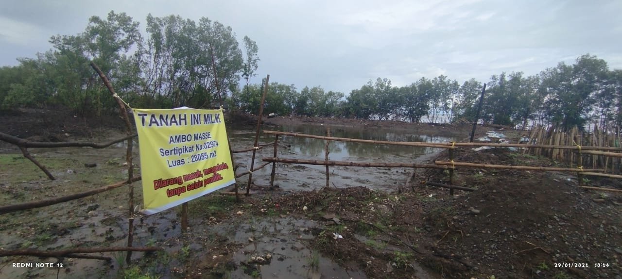 Dinas Perikanan Mengaku Baru Tahu Terkait Hutan Mangrove 1 Hektare di Maros Ditebang. (Foto: Ist)