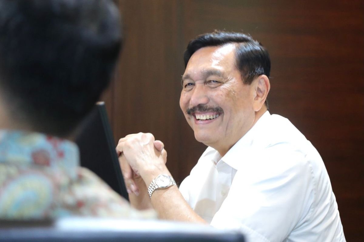 Ketua DEN Sebut UEA Minati Investasi Energi Terbarukan di Indonesia Lewat Danantara. (Foto: Kompas.com)