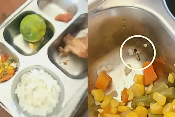 Siswa di Makassar Temukan Ulat di Sayur Program Makan Bergizi Gratis