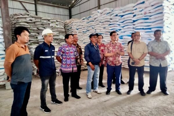 Pastikan Pupuk Murah untuk Petani Bulukumba, Wabup Edy Manaf Cek Gudang Stok