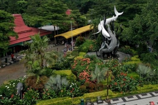 Gajah Kecil di KBS Viral Ditunggangi, Pengelola Sebut untuk Pelatihan
