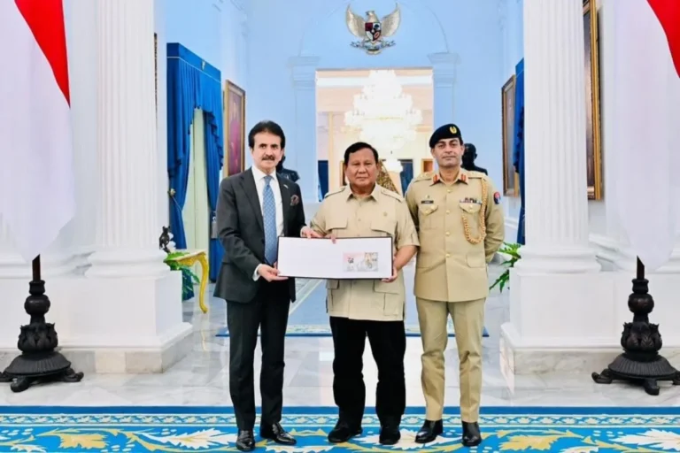 Presiden Prabowo dan Dubes Pakistan Bahas Penguatan Kerja Sama Strategis